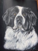 Превью фото № 167253