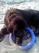 Превью фото № 167266