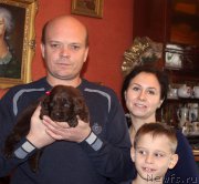 Превью фото № 167282