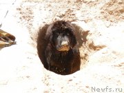 Превью фото № 167291