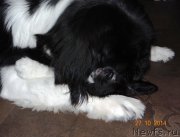 Превью фото № 167367