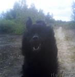 Превью фото № 16739