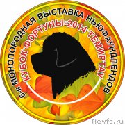 Превью фото № 167413