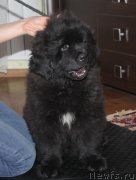 Превью фото № 167459