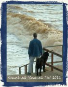 Превью фото № 167512