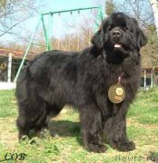 Превью фото № 167518