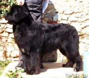 Превью фото № 167519