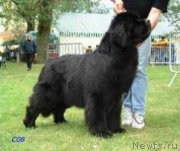 Превью фото № 167521