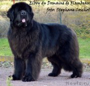 Превью фото № 167526