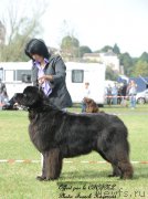 Превью фото № 167528