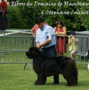 Превью фото № 167532