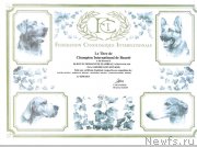 Превью фото № 167537