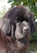 Превью фото № 167591