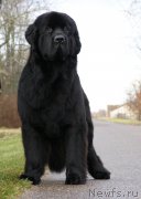 Превью фото № 167594