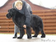 Превью фото № 167604