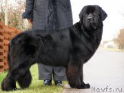 Превью фото № 167605