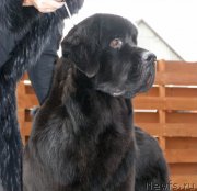 Превью фото № 167608