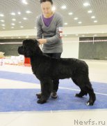 Превью фото № 167616