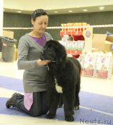 Превью фото № 167623