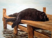 Превью фото № 167647