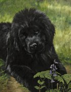 Превью фото № 167650