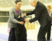 Превью фото № 167662