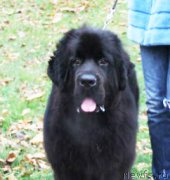 Превью фото № 167663