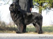 Превью фото № 167676