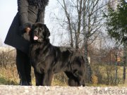 Превью фото № 167685