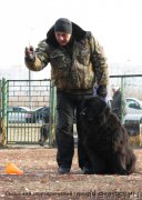 Превью фото № 167698