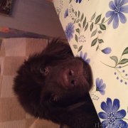 Превью фото № 167709