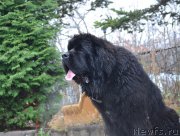 Превью фото № 167751