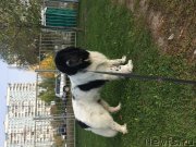 Превью фото № 167756