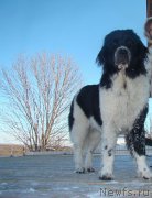 Превью фото № 167760