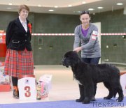 Превью фото № 167775