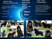 Превью фото № 167776