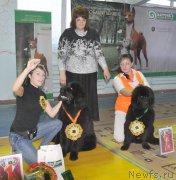 Превью фото № 167787