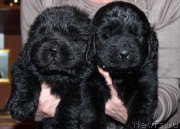 Превью фото № 167815