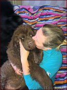 Превью фото № 167847