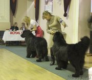 Превью фото № 167861