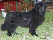 Превью фото № 167862