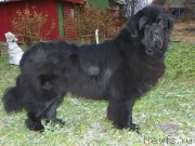 Превью фото № 167864