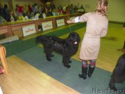 Превью фото № 167868