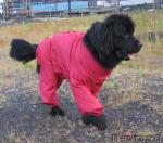 Превью фото № 16788