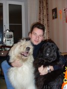 Превью фото № 167917