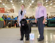 Превью фото № 168023