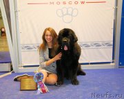 Превью фото № 168025