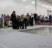 Превью фото № 168034