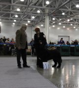 Превью фото № 168037