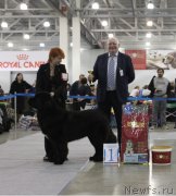 Превью фото № 168039